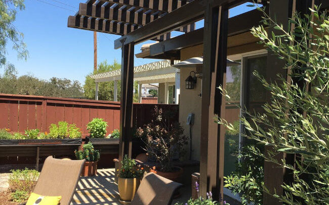 Back Patio Garden